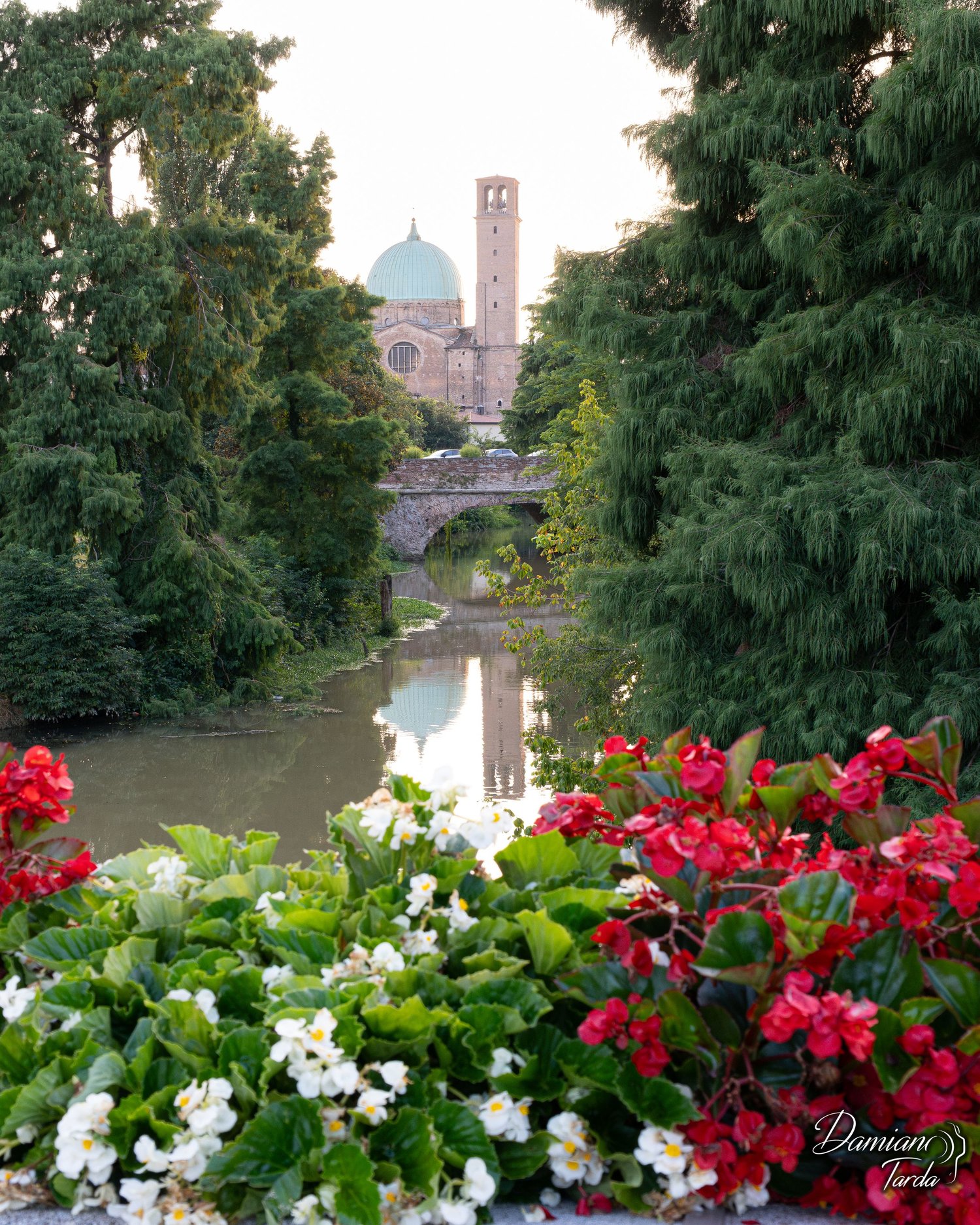 Urban landscape photography, Padua, nature