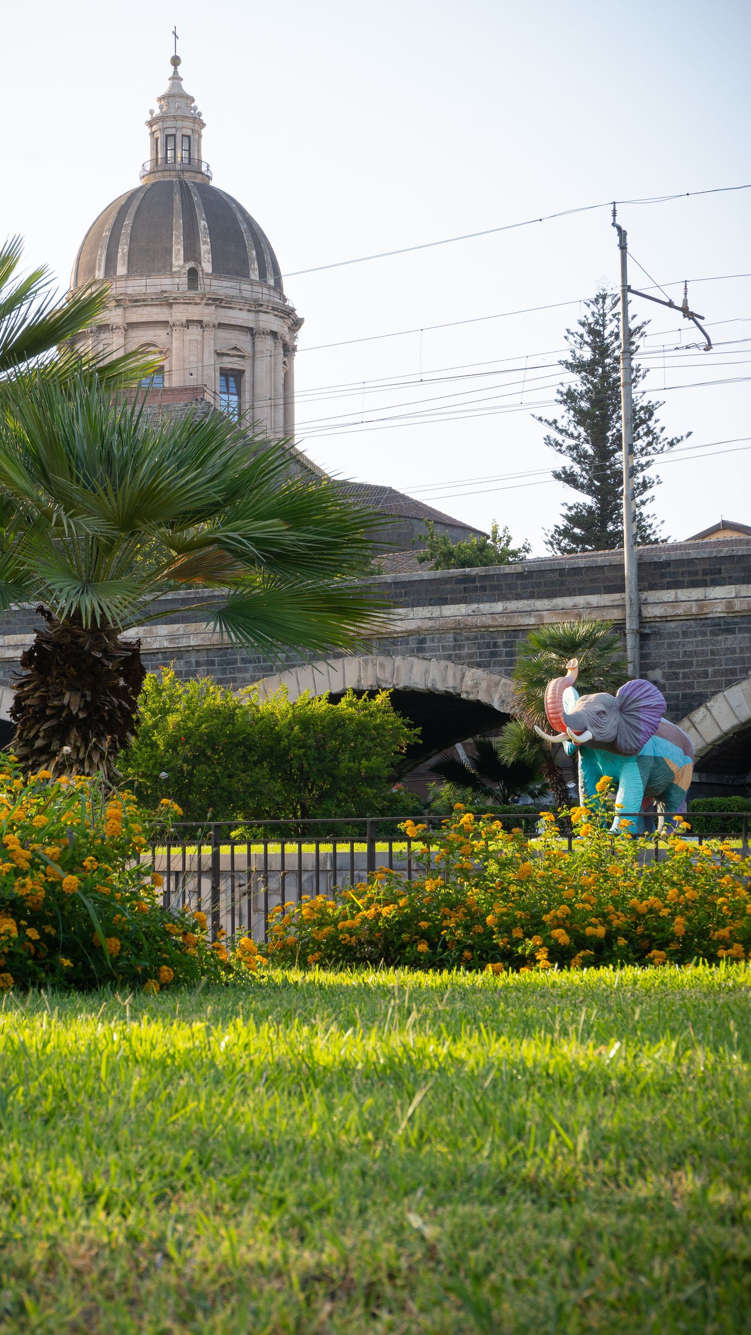 Garden with a Catania dome in the background, Mediterranean urban photography.