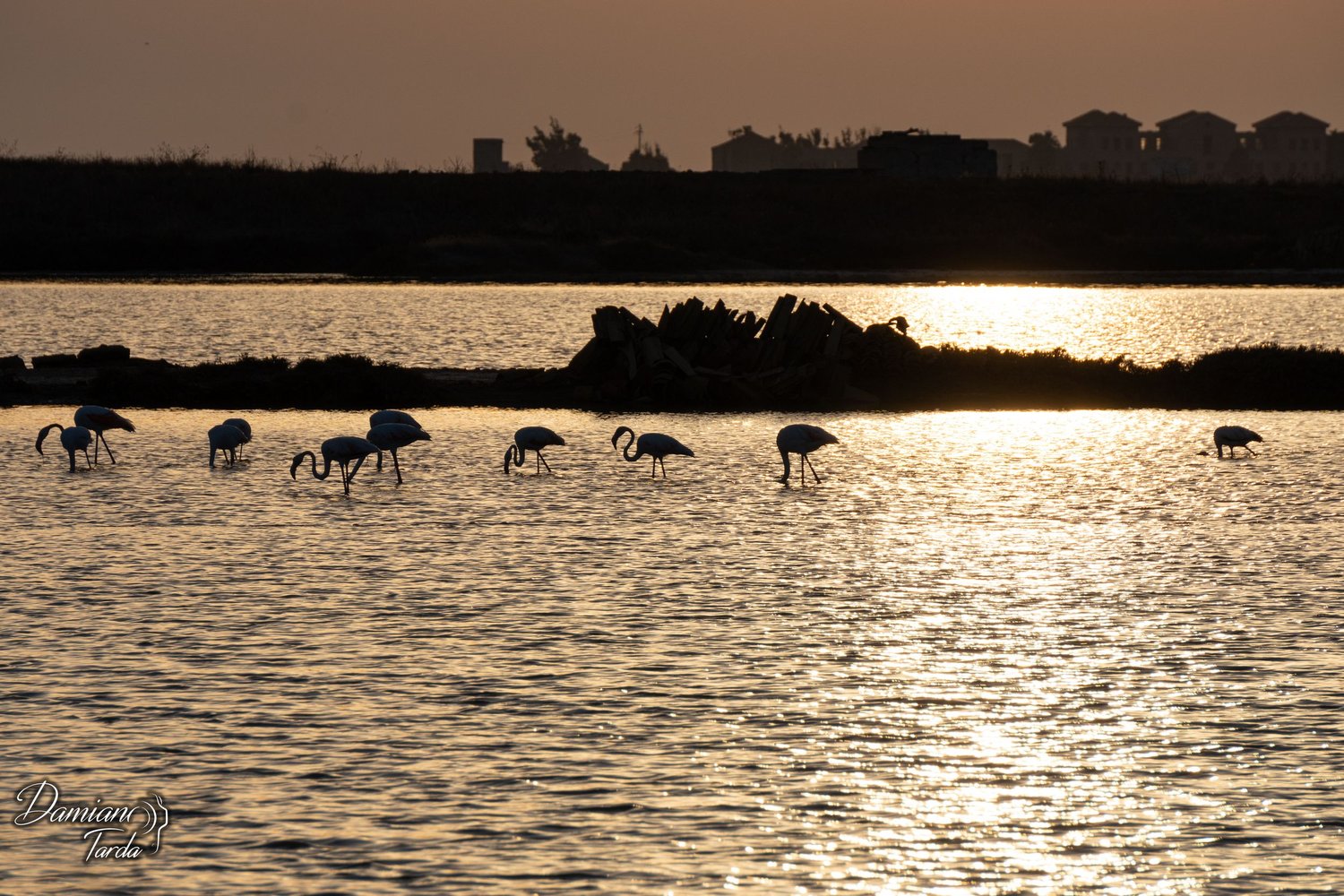 Sunset over the salt pans of Trapani. Landscape photography