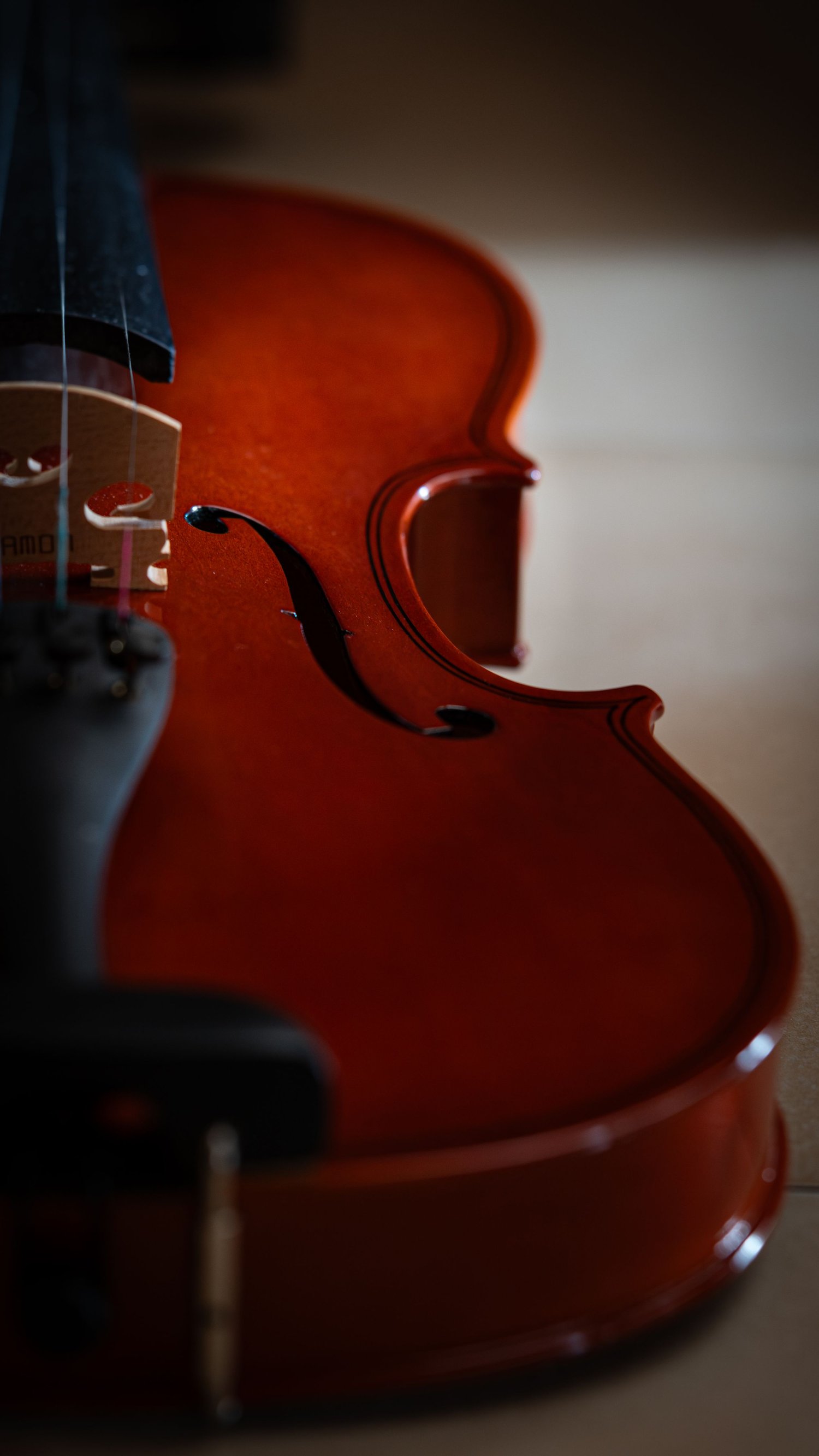 Close-up of a violin, artistic photograph of a musical instrument in warm light.